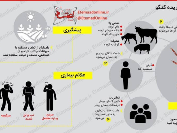 تب کریمه کنگو